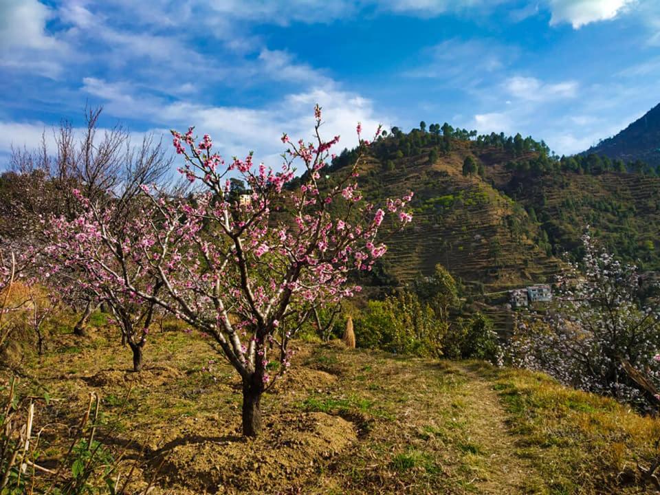 Bed and Breakfast Seclude Ramgarh Cliff'S Edge Exterior foto